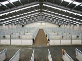 large scale horse stable complex