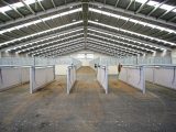 large scale horse stable complex