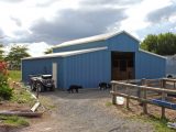 Coresteel_steel_building_shed_farm_american_barn